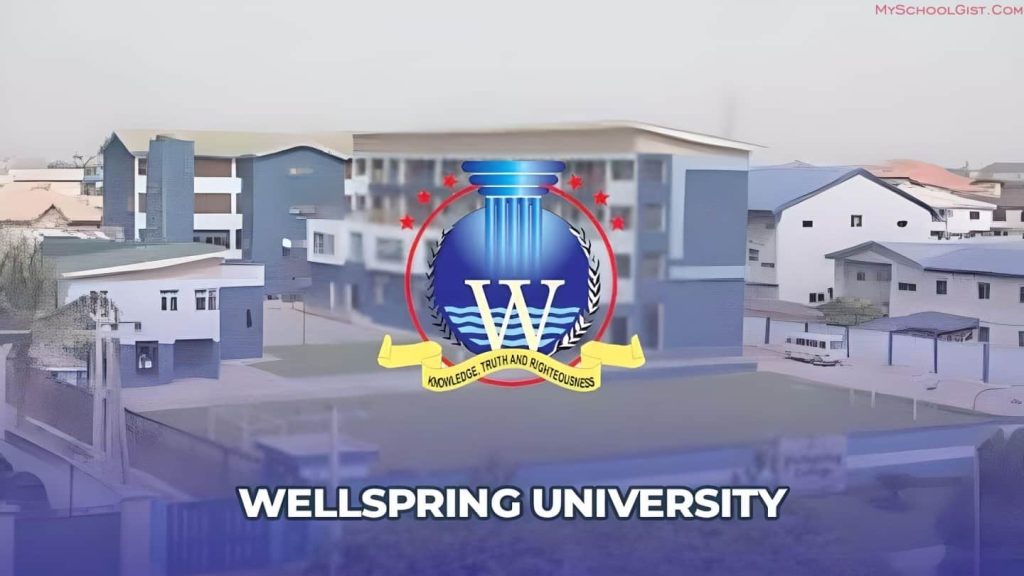 Wellspring University Postgraduate Fees 2024/2025: Full Breakdown 20 Wellspring University Postgraduate Fees 2024/2025: Full Breakdown